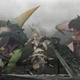 Image for article titled Can You Spot Monster Hunter?